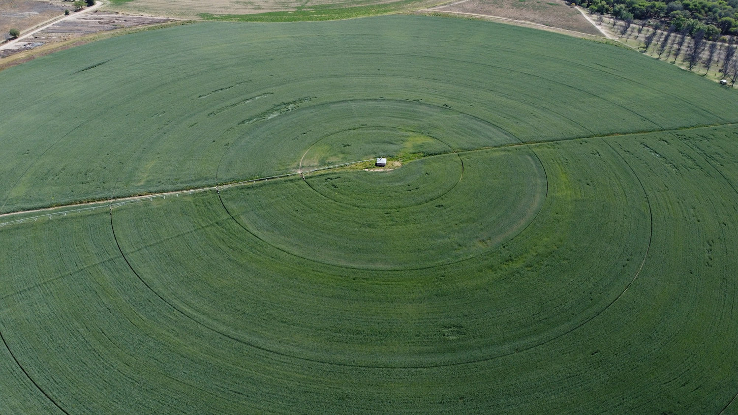 MEJORADORES DE SUELO